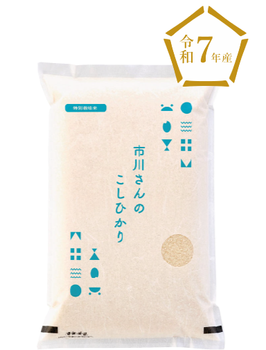 特別栽培米　市川さんのこしひかり