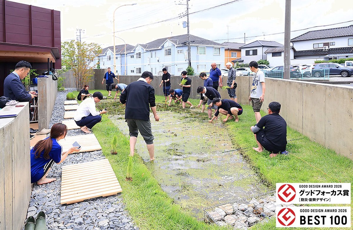 YUKI office敷地内の水田で行った田植えの様子