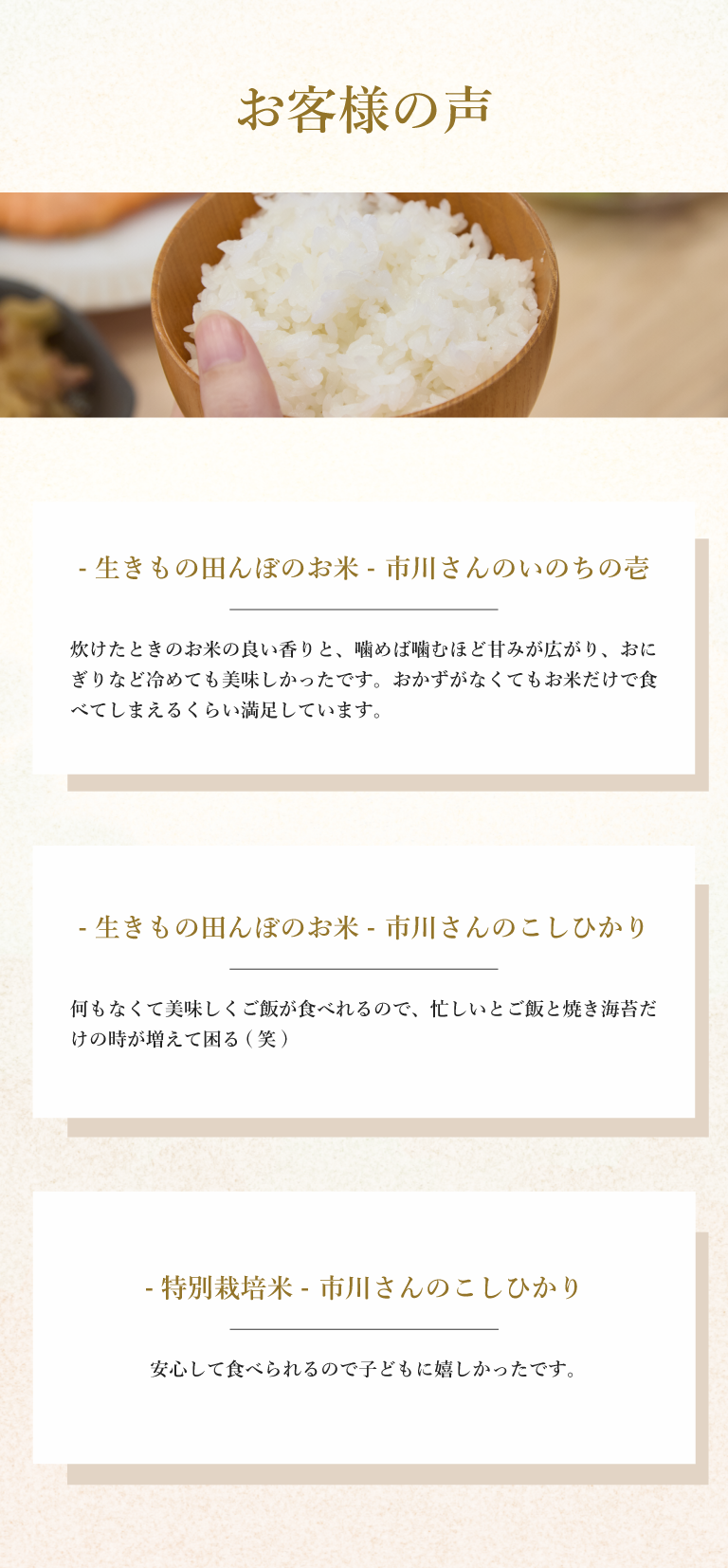 お客様の声