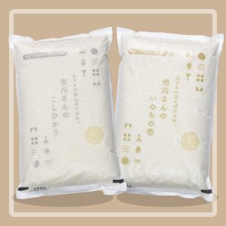 生きもの田んぼのお米とは